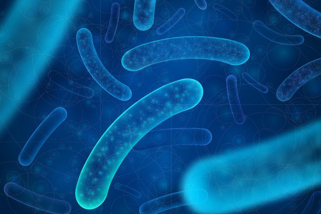 What Are the Signs You Need Probiotics?