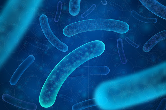 What Are the Signs You Need Probiotics?