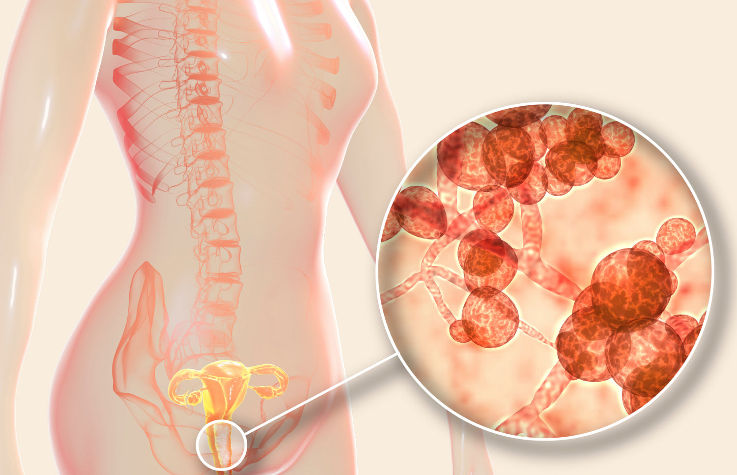 The Benefits of Maintaining Good Vaginal Health Love Wellness The Benefits of Maintaining Good Vaginal Health Love Wellness
