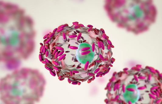 Bacterial Vaginosis 