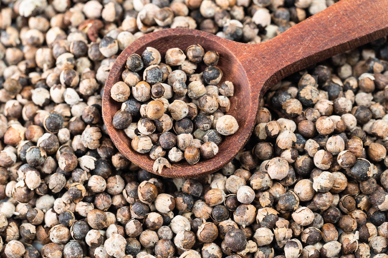 Chasteberry Chasteberry