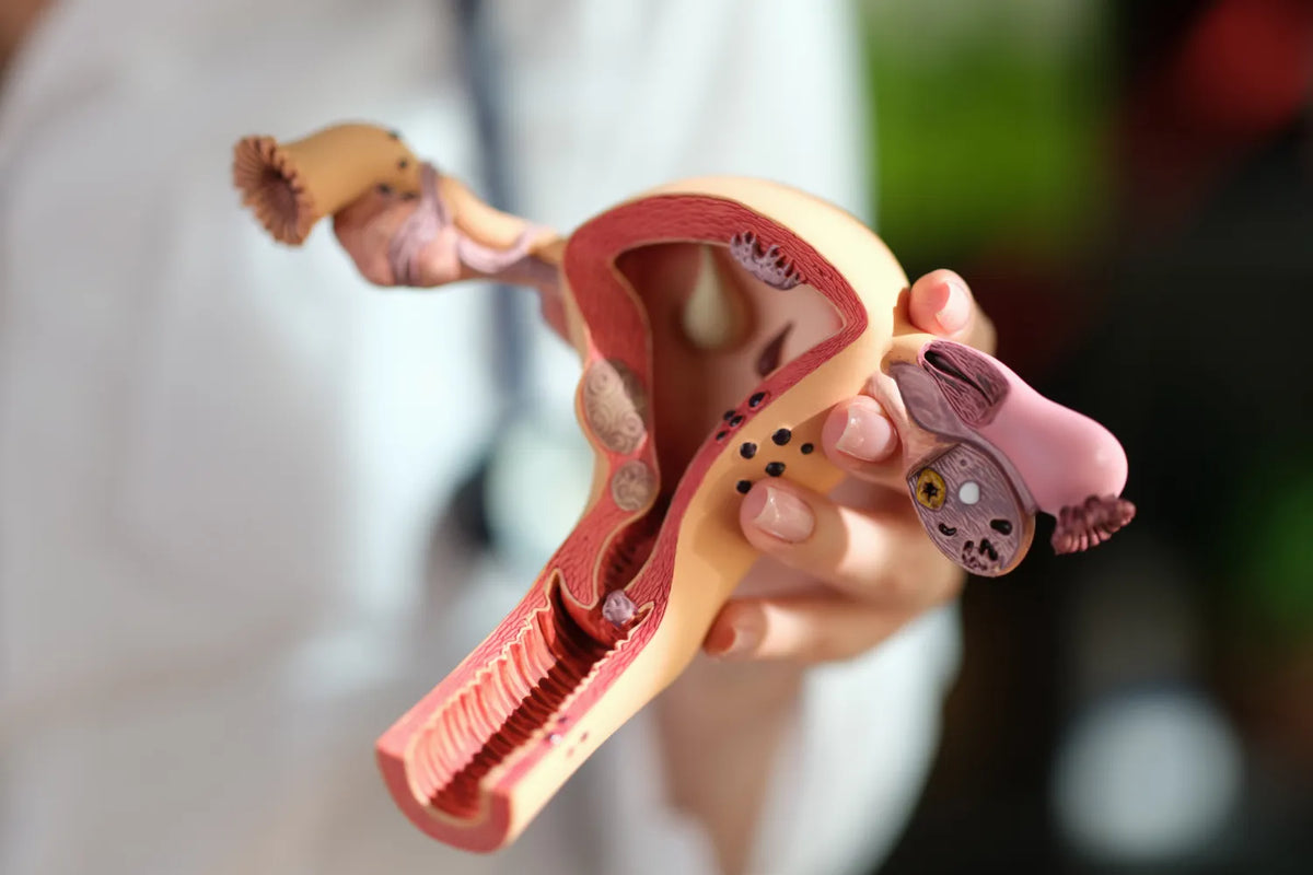 From A to Zinc The Essential Vaginal Health Vitamins Every Woman Needs