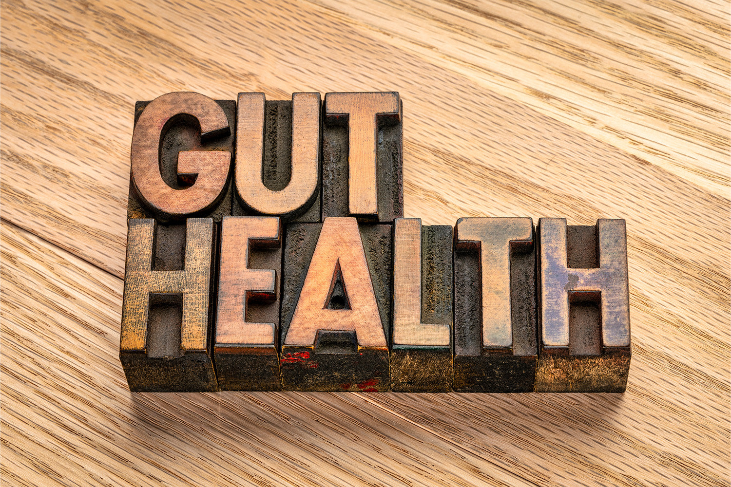 Why Is Gut Health Important?